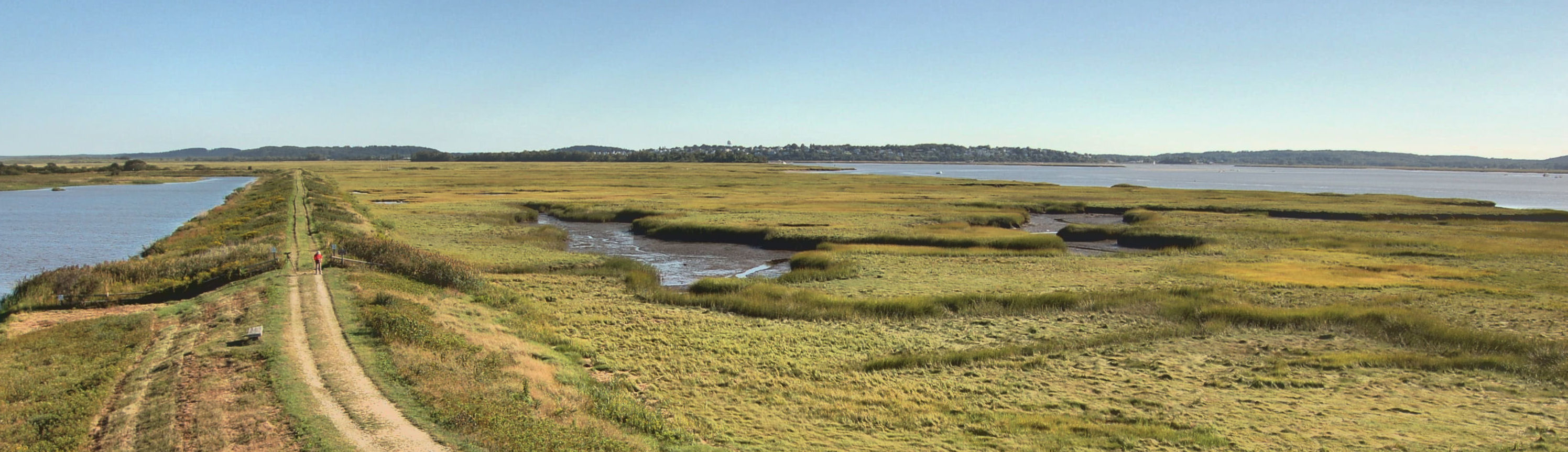 Plum Island